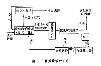 港澳宝典免费资料大全