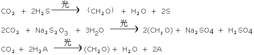 港澳宝典免费资料大全