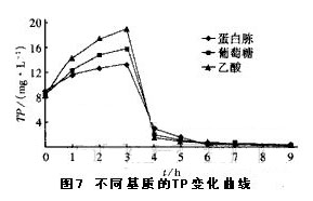 港澳宝典免费资料大全