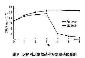 港澳宝典免费资料大全