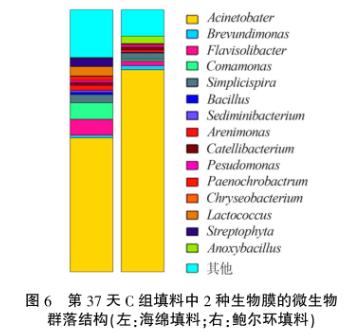 港澳宝典免费资料大全