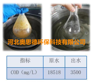 港澳宝典免费资料大全