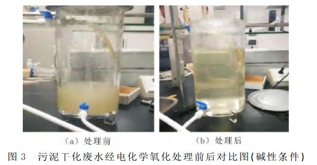 港澳宝典免费资料大全