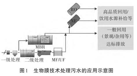 港澳宝典免费资料大全