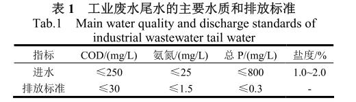 港澳宝典免费资料大全