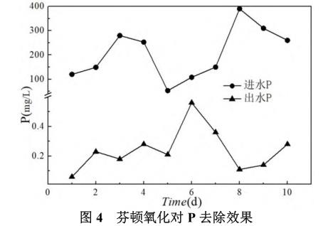 港澳宝典免费资料大全