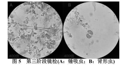 港澳宝典免费资料大全